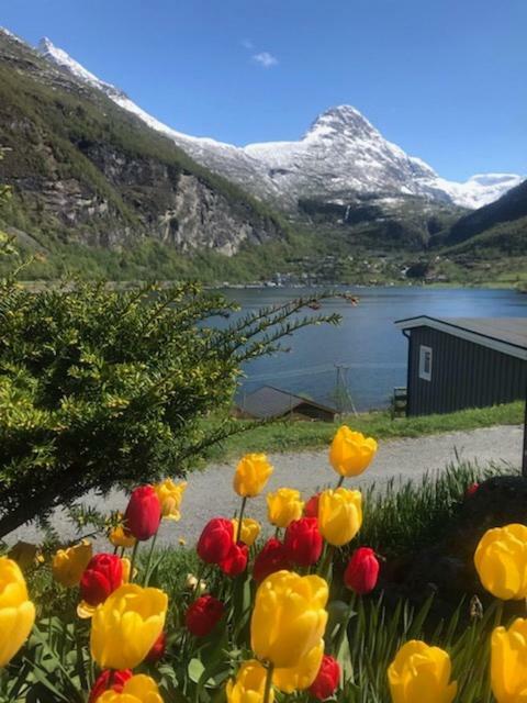 Solhaug Fjordcamping Geiranger Exterior foto